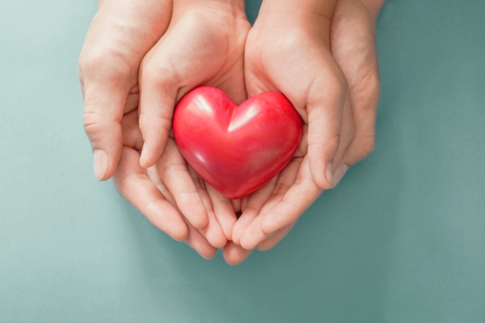 Día Mundial del Corazón: Principales enfermedades que afectan al corazón