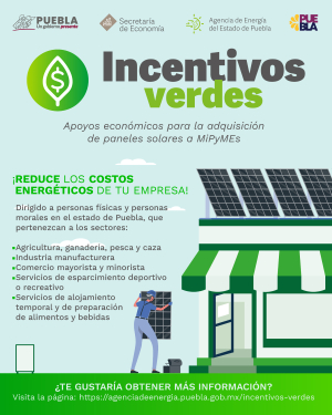 El gobierno del estado anuncia programa de “Incentivos verdes”